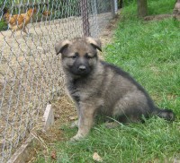 /album/brixie/snimek-093-1-jpg1/